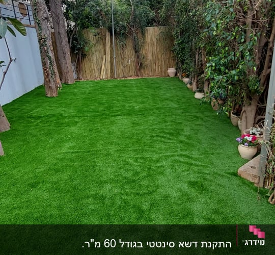 דשא ירוק מוקף עצים וצמחים בעציצים